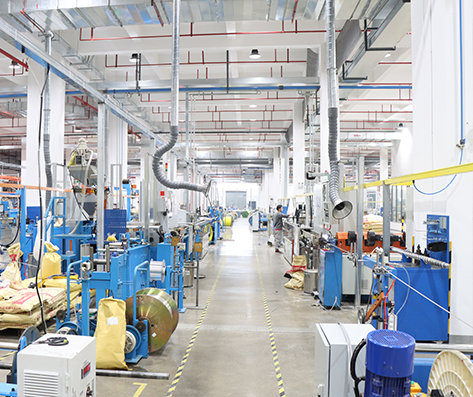 中国·304永利(集团有限公司)-官方网站